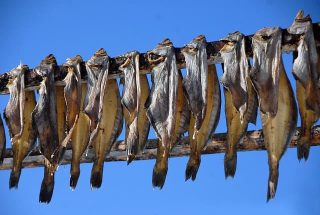Dry Fish